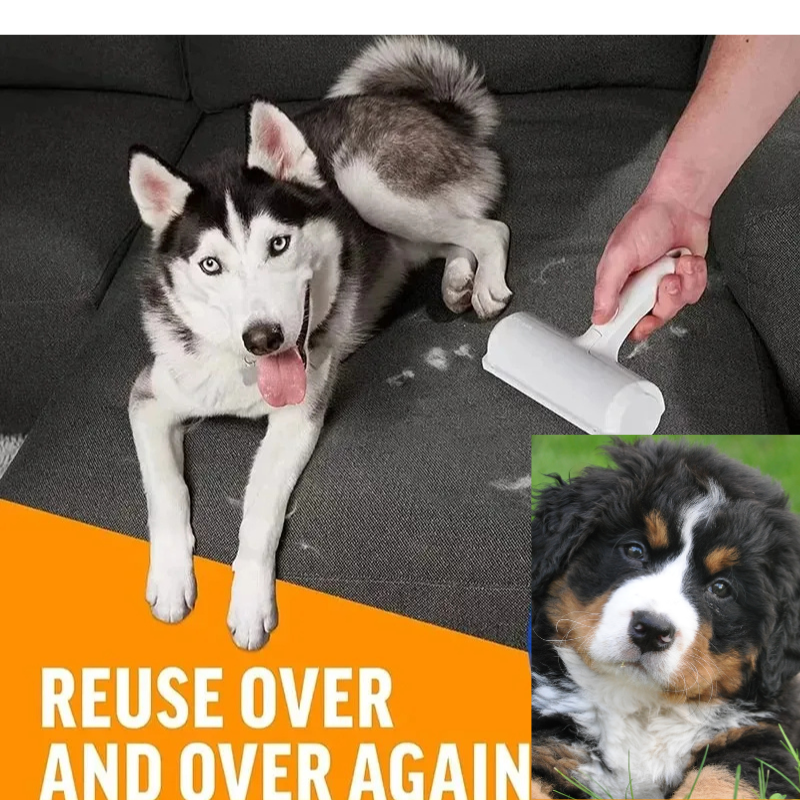 PET HAIR REMOVER